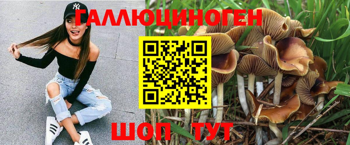 Псилоцибиновые грибы GOLDEN TEACHER  Вход с VPN  Псилоцибиновые грибы Cubensis  Валуйки 