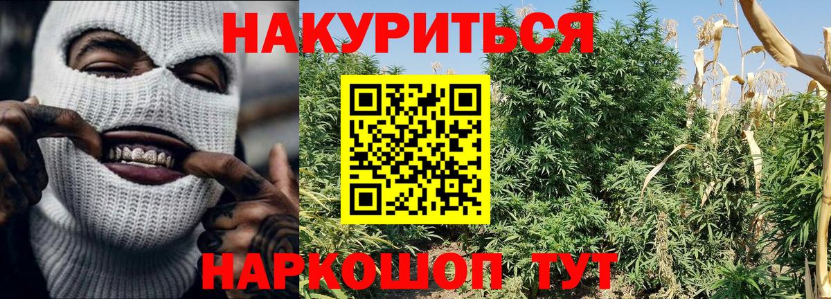Марихуана сатива  Вход с VPN  МАРИХУАНА Ganja  Валуйки  Шишки марихуана марихуана 